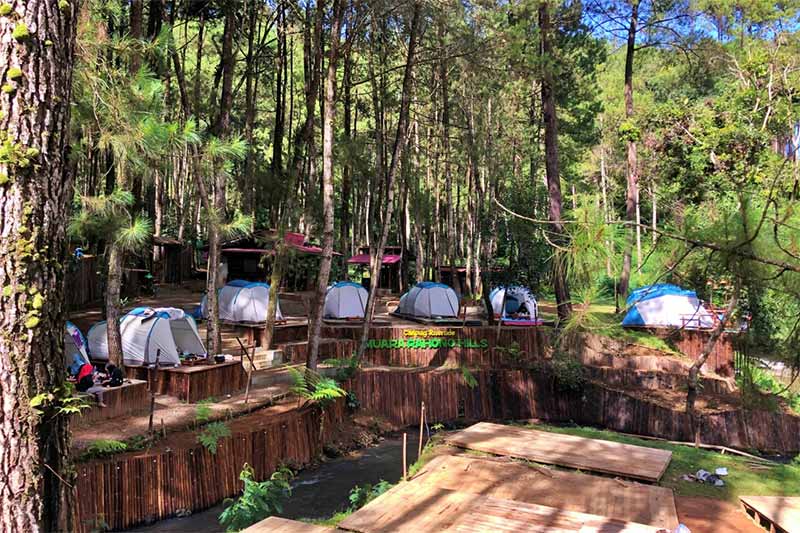 Hutan Pinus Rahong, Bukan Sekadar Hutan Biasa Surga Healing di Pangalengan