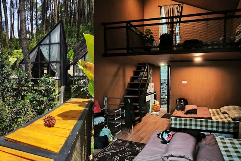 Tips Memilih Wisata Glamping untuk Honeymoon, Mengapa Muara Rahong Hills Jadi Pilihan Utama?