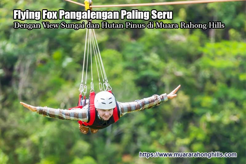 Flying Fox Pangalengan Paling Seru dengan View Sungai dan Hutan Pinus di Muara Rahong Hills